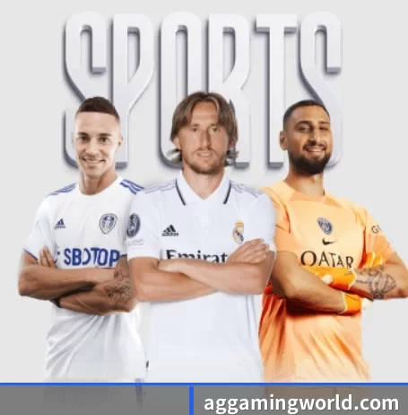 ag真人注册围绕看球场景设计的核心服务