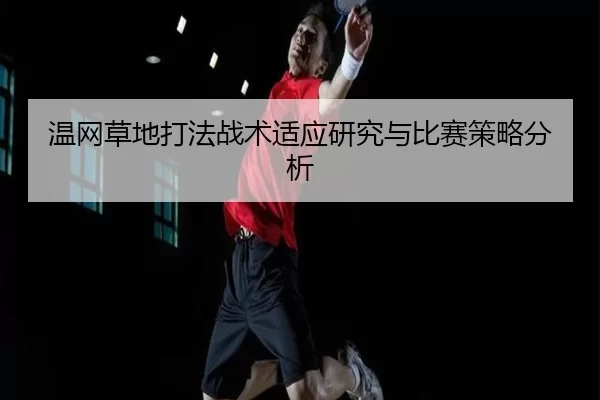 温网草地打法战术适应研究与比赛策略分析